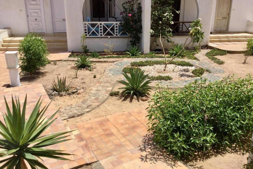 Апартаменты Beyt Alzohour - Casa Dei Fiori Дахаб Экстерьер фото